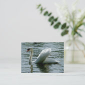 Carte De Visite Cygne (Debout devant)