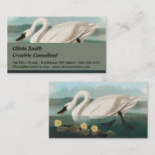 Carte De Visite cygne audubon cygnes d'eau blanche (Devant / Derrière)