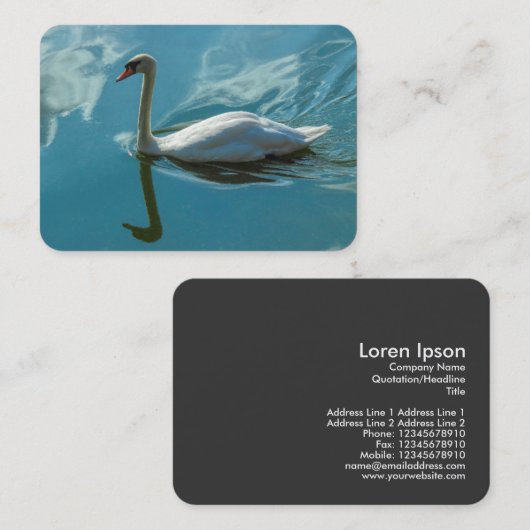 Carte De Visite Cygne avec reflets nuageux (Devant / Derrière)