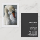 Carte De Visite Cygne (Bordé) (Devant / Derrière)