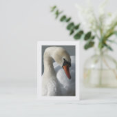 Carte De Visite Cygne (Bordé) (Debout devant)