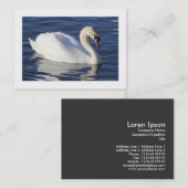 Carte De Visite Cygne muet (Bordé) (Devant / Derrière)
