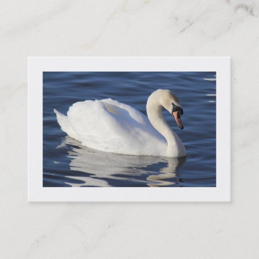 Carte De Visite Cygne muet (Bordé) (Devant)