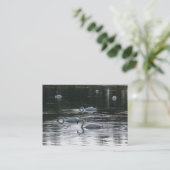 Carte De Visite Cygnes (Debout devant)