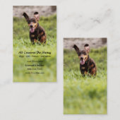 Carte de visite Dachshund de disquette (Devant / Derrière)