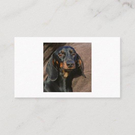 Carte De Visite dachshund noir et tan (Devant)