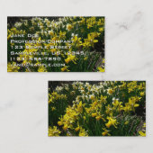 Carte De Visite Daffodiles jaunes et blancs Fleurs de printemps (Devant / Derrière)