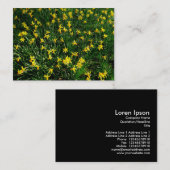 Carte De Visite Daffodiles/Narcisse (Devant / Derrière)