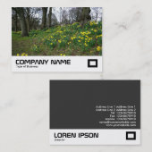 Carte De Visite Daffodils Bute Park, Cardiff (Devant / Derrière)