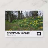 Carte De Visite Daffodils Bute Park, Cardiff (Devant)