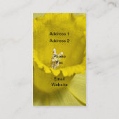 Carte De Visite Daffodiques (Dos)