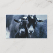 Carte de visite d'agriculteur de chèvre (Dos)