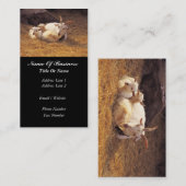 Carte de visite d'agriculteur de chèvre (Devant / Derrière)