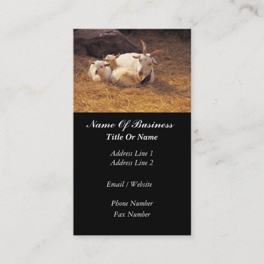 Carte de visite d'agriculteur de chèvre (Devant)