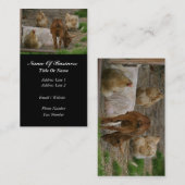 Carte de visite d'agriculteur de chèvre (Devant / Derrière)