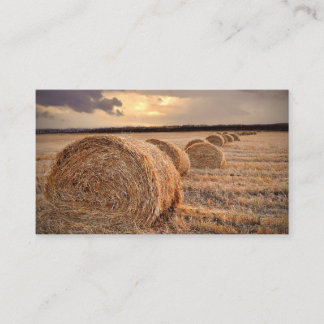 Carte de visite d'agriculture d'agriculteur AG de
