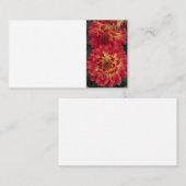Carte De Visite Dahlia (Devant / Derrière)