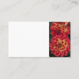 Carte De Visite Dahlia