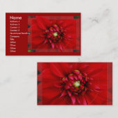 Carte De Visite Dahlia (Devant / Derrière)