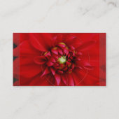 Carte De Visite Dahlia (Dos)