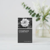 Carte De Visite Dahlia 'David Howard' - 80pc Grey (Debout devant)