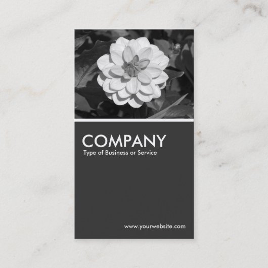 Carte De Visite Dahlia 'David Howard' - 80pc Grey (Devant)