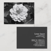 Carte De Visite Dahlia 'David Howard' B&W (Devant / Derrière)