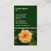 Carte De Visite Dahlia 'David Howard' - Vert foncé (Dos)