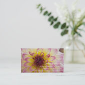Carte De Visite Dahlia de Bourgogne, jaune et blanc (Debout devant)