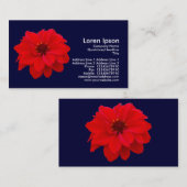 Carte De Visite Dahlia, évêque de Llandaff - bleu foncé de la mari (Devant / Derrière)