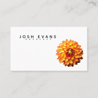 Carte De Visite Dahlia Gardener