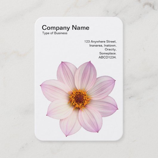 Carte De Visite Dahlia rose (Devant)