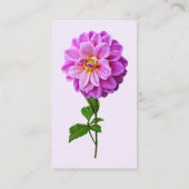 Carte De Visite Dahlia Rose Avec Dew (Dos)