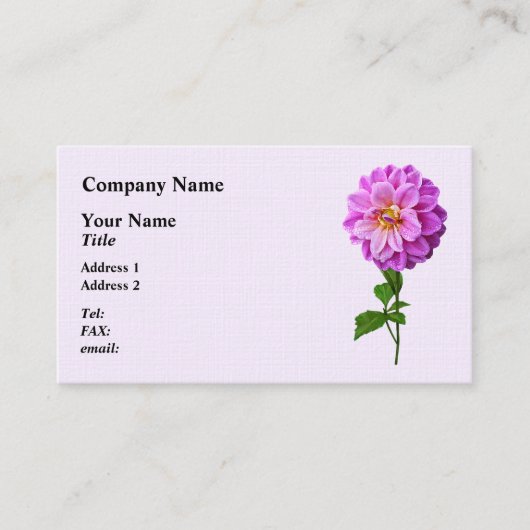 Carte De Visite Dahlia Rose Avec Dew (Devant)