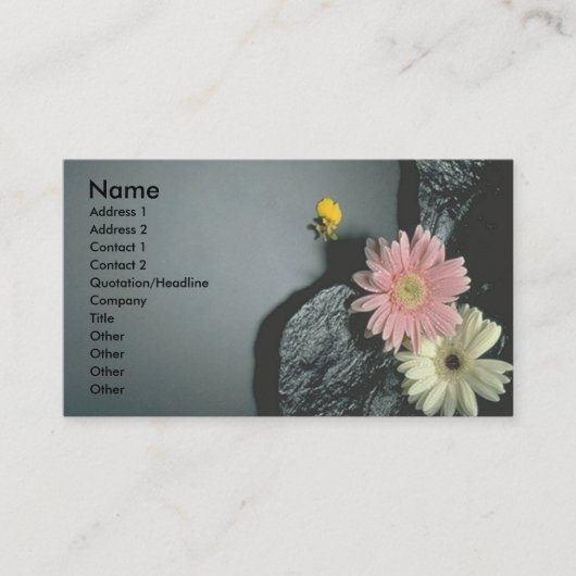 Carte De Visite Daisers (Devant)