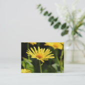 Carte De Visite Daisy jaune (Debout devant)