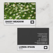 Carte De Visite Daisy Meadow (Devant / Derrière)