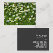 Carte De Visite Daisy Meadow (Devant / Derrière)