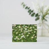 Carte De Visite Daisy Meadow (Debout devant)