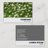 Carte De Visite Daisy Meadow (Devant / Derrière)