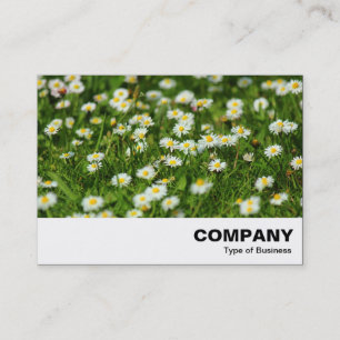 Carte De Visite Daisy Meadow