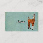 Carte de visite d'ALPAGA et de HIBOU (Dos)