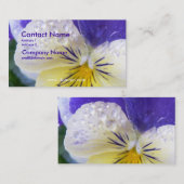 Carte de visite d'alto (Devant / Derrière)