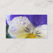 Carte de visite d'alto (Dos)