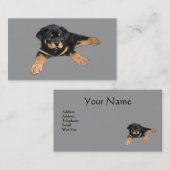 Carte de visite d'amant de rottweiler (Devant / Derrière)