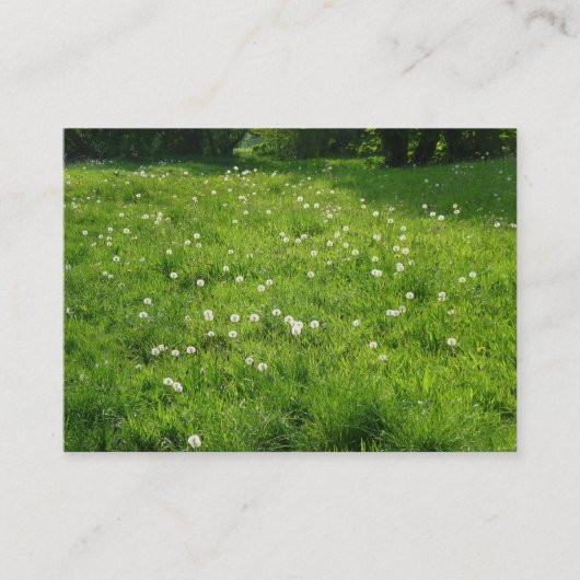 Carte De Visite Dandelion Meadow 01 (Devant)