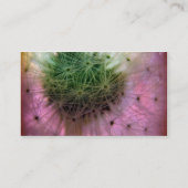 Carte De Visite Dandy Seeds (Dos)