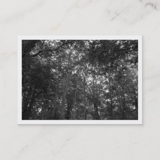 Carte De Visite Dans les arbres, Mini Photo (Devant)