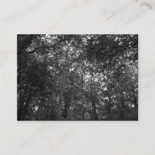 Carte De Visite Dans les arbres, Mini Photo (Devant)