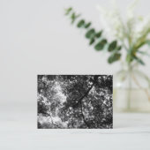Carte De Visite Dans les arbres, Mini photo (Debout devant)